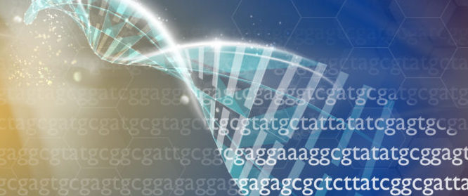 Illustration av DNA-spiralen