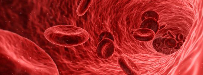 Bild på röda blodkroppar, erytrocyter