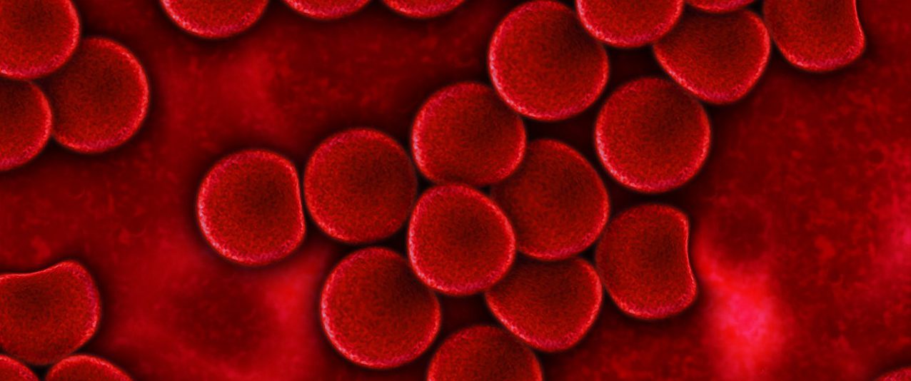 Bild på röda blodkroppar, erytrocyter.
