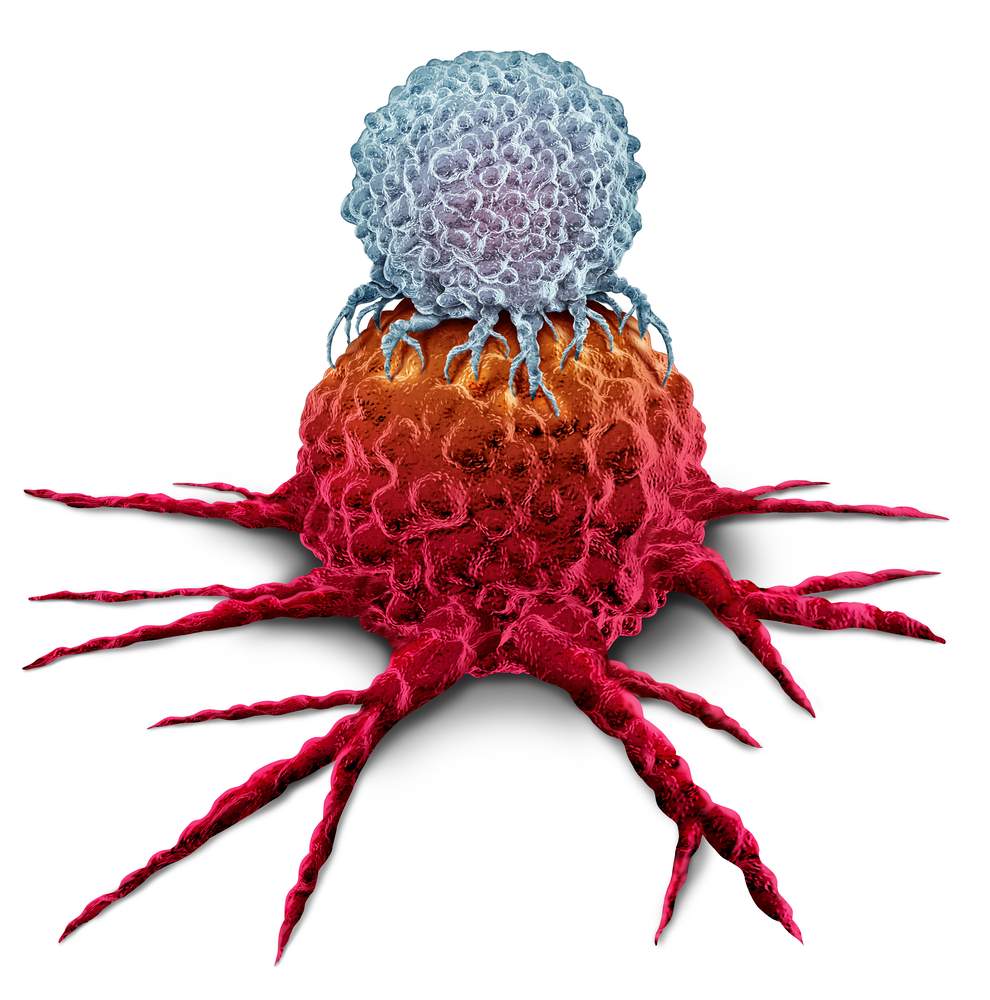 en T-cell som attackerar en cancercell