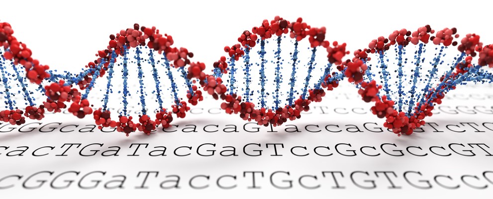 DNA-spiral som ligger på en utskrift av en DNA-sekvens där varje nukleotid representeras av en bokstav. 