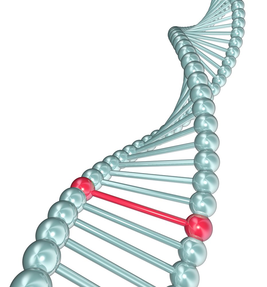 bild av en DNA-spiral med ett baspar markerat i rött för att symbolisera en mutation