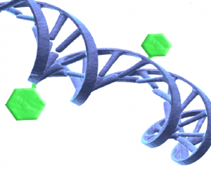 Illustration av en DNA-spiral och metylgrupper som fäst till DNA:t