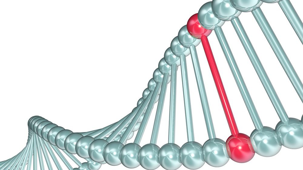 Bild på en DNA-spiral där ett baspar är markerat i rött för att symbolisera en mutation
