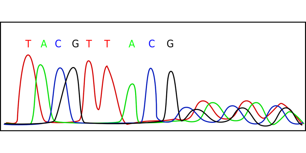 ett kromatogram av en dna sekvens